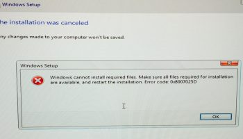 0x8007025d