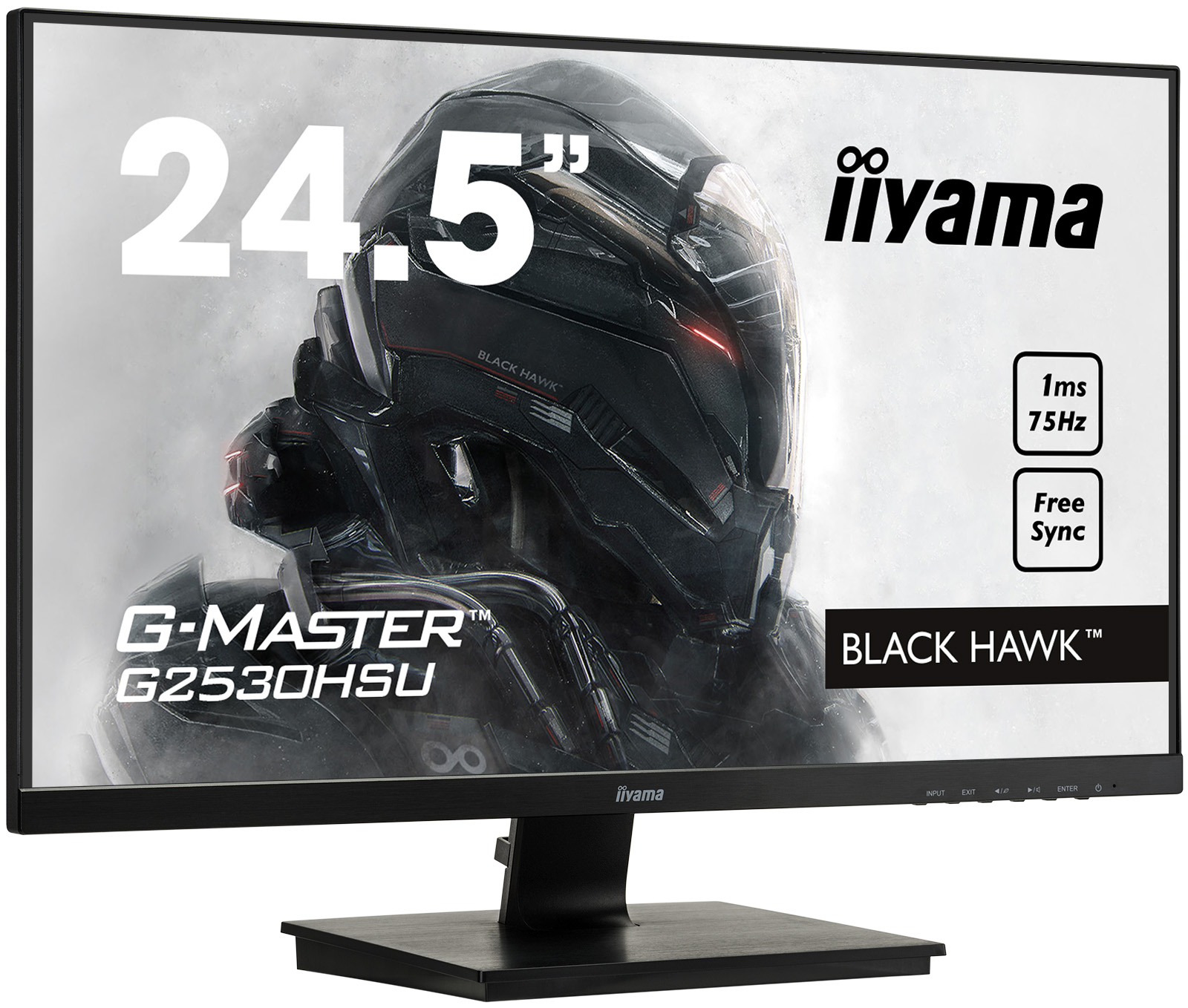 Iiyama G-Master G2530HSU-1 24.5