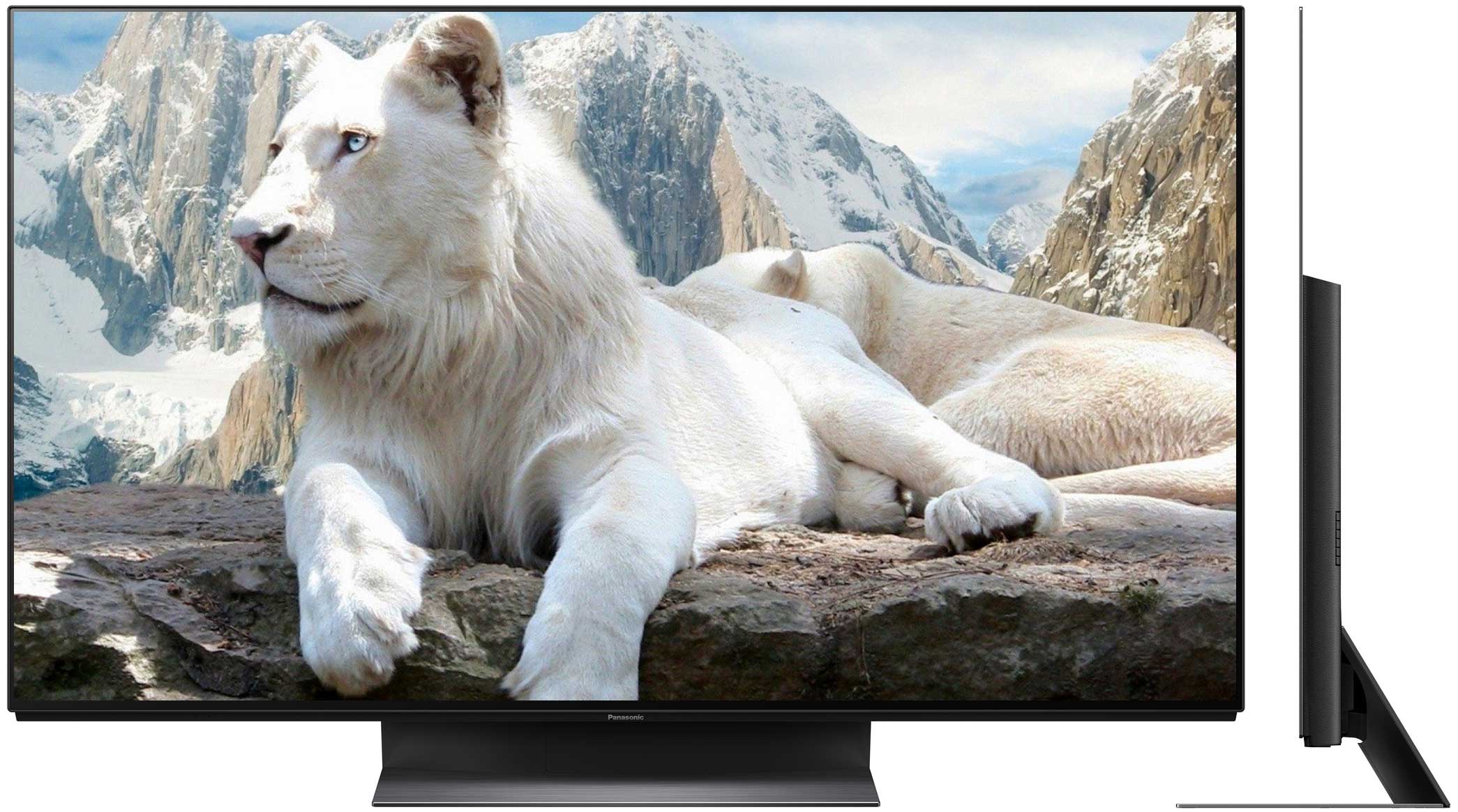 Panasonic TX-65GZR1000
