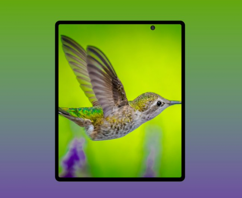 Galaxy Fold 2