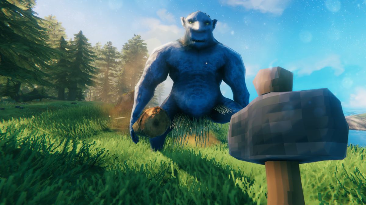 First Person View