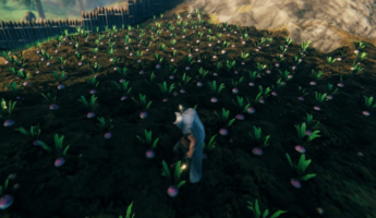 Valheim: руководство по занятию фермерским хозяйством