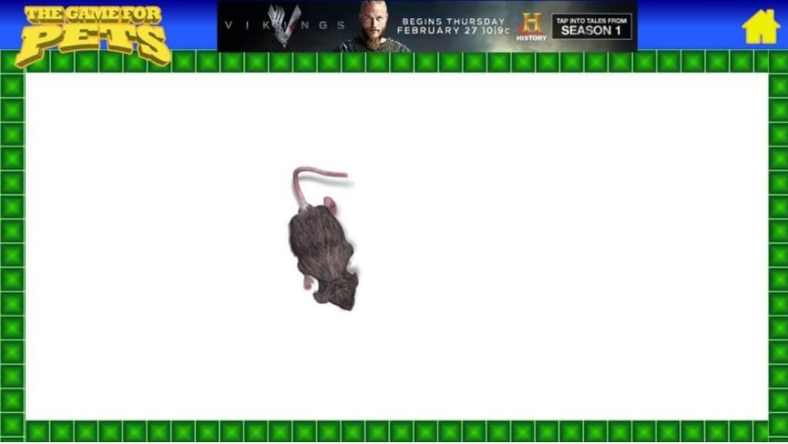 The Game for Pets