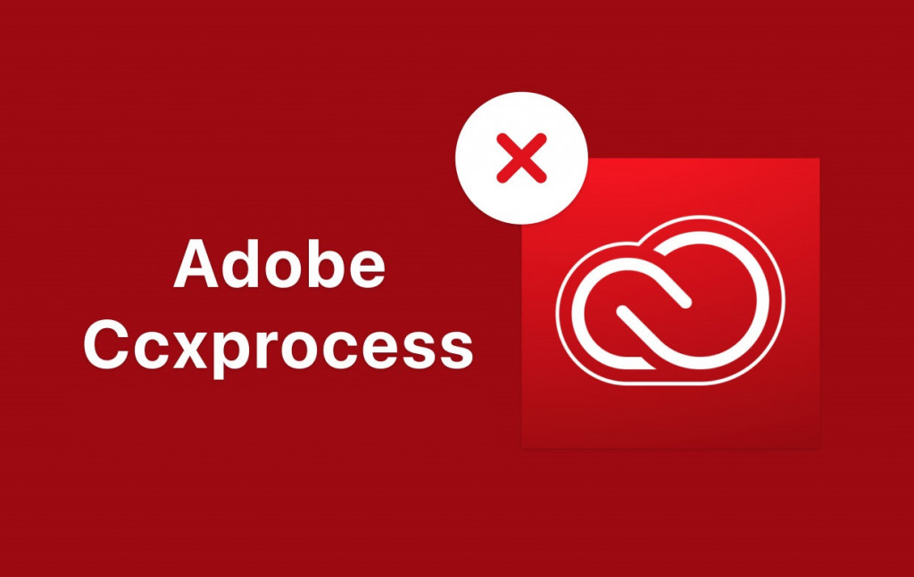 CCXProcess